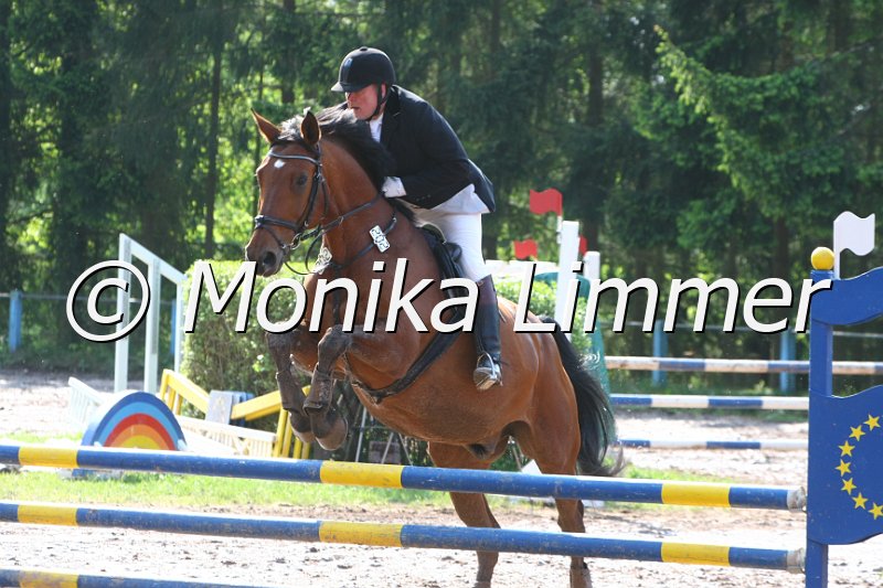 104M7726_Spring A_CD.JPG